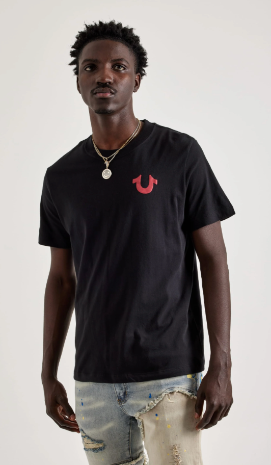TRUE RELIGION Mighty Tee